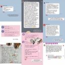 사천축협동물병원 | [멍즈니랜드] 경남 사천 대형견 출장 미용&amp;목욕 골든 두들 출장 미용