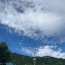 골드하우스 이미지