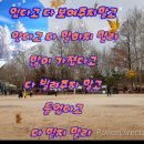 세월따라