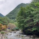 항골계곡 이미지