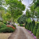 진여울펜션 이미지