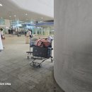 New호주공인중개사사무소 | 인천공항 콜택시 의왕 예약 후기, 3인 가족 호주 여행 후 편안한 귀가 (feat. 피플앤피플 공항콜택시)