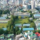 농림축산검역본부 이미지
