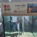 한국관복어집 | [대전 가볼만한 곳] 대전 아쿠아리움 할인팁 주차 국내최대 담수어아쿠아리움이라 볼게 많고 실내동물원...