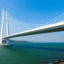 솔숲과 바다 이미지