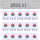 지난달에 이어 이번달도 공폰 사용폰 모두 만근 했네요~ 이미지