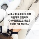 바둑이펫 이미지