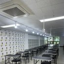 종로애견미용 이미지