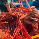 광성홍게장군 이미지