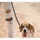 컴투펫 위탁보호센터 서울점 이미지