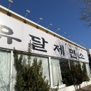 목포 평화광장 퓨전한식 맛집 <유달제면소> 내돈내산 후기