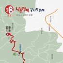 욜로오이소 이미지