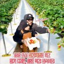 달콤한 푸른농장 이미지