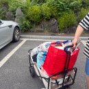 도그베이 | [안성]강아지워터파크 원더풀도그베이 내돈내산 솔직후기💕🏊‍♀️