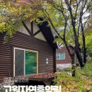 고원건축사사무소 | 태백가볼만한곳 태백고원자연휴양림 숲속의집 301호 후기