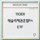 TIGER 테슬라채권혼합Fn ETF 주가 배당금 전망 2025 투자 전략 이미지