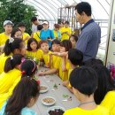 별바라기마을 이미지