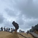 홍봉투어