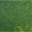 하저어촌체험마을 이미지