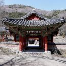 비;숲