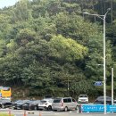 계룡시청 | 계룡시청 맛집/금암동 더온담 쭈꾸미전문점 후기