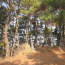 오리정주유소 이미지