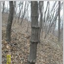 20110402_정개산-천덕봉-원적산 산행후기