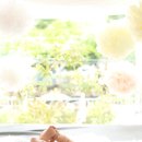 하늘아리 이미지