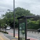 리예네 커피 | 서울 한강뷰 호텔 추천 호텔나루 엠갤러리 뷔페 레스토랑,룸서비스,수영장즐긴 후기