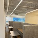 제니아빈 이미지