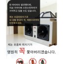 이즈와이솔루션 | [협찬] 제논 초음파 퇴치기로 쥐, 해충, 야생동물 스트레스 한 번에 해결!