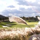 엘리시안컨트리클럽 이미지