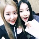 데이데이 이미지