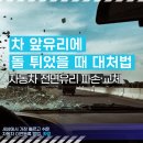 원형자동차정비 | 차 앞유리 돌빵, 반드시 교체해야 할까? 자동차 전면유리 파손 교체비용, 보험·보상 방법