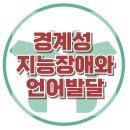 [경계성 지능 장애]학습, 언어발달, 학습지연, 사회성, 한국아동청소년심리상담센터 이미지