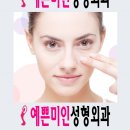 예쁜미인성형외과 이미지