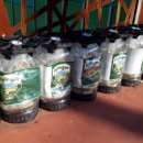 화전별곡 이미지