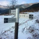 산내면 중황마을 이미지