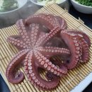 문어다리여덟개 | 문어 부작용｜유래｜문어 삶는법｜칼로리｜문어 영양소｜GI지수｜권장량