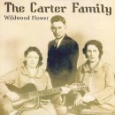 Wildwood Flower - The Carter Family - 이미지