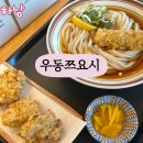 하남시장애인복지관 | [하남 우동쯔요시] 미사 호수공원 혼밥 자가제면 일본 수타우동 내돈내산 솔직후기