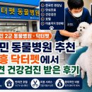 Dr.수 동물병원 | 호치민 동물병원 푸미흥 동물병원 닥터팻 건강검진 호텔 미용까지