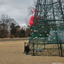 카페두잇(Cafe Do it) | 서울근교 정원 김포 대형 카페 포레리움 내돈내산 솔직후기