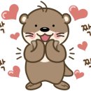 왓쇼이짱 이미지