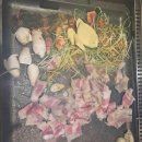 청하정숯불갈비 이미지