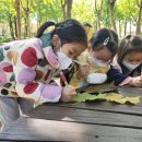 석실로317번길 70 이미지