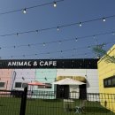 광풍로 | 천안육아맘추천 천안아이와가볼만한곳 해피애니멀 방문후기