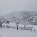 단강리민박 네이버블로그