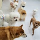 행복한유치원 이미지