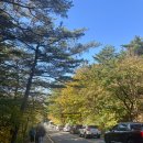 최옥란농장 | [강원도 여행] 설악 케이블카 날씨에 따른 운영시간 | 최옥란 순두부 솔직후기